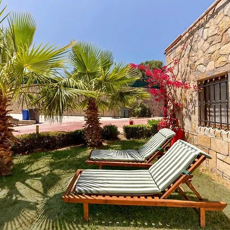 Fancy Stone House Surrounded By Palm Trees And Shared Pool Vakantiehuis